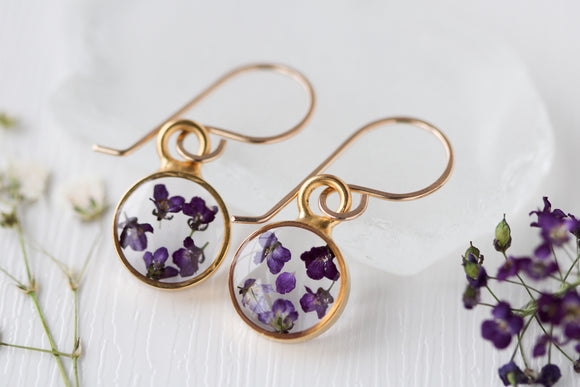 Purple Allysum Gold Circle Earrings