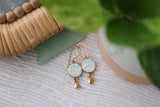 Shell Dangle Earrings in Gold